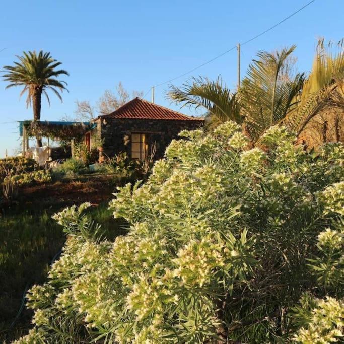 Casita En El Campo Con Vista Al Oceano Villa Тихарафе Екстериор снимка