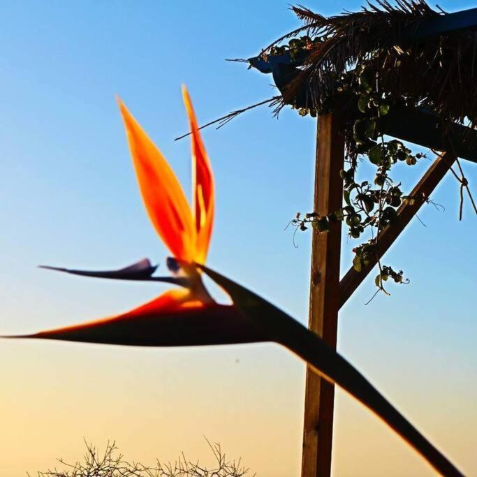 Casita En El Campo Con Vista Al Oceano Villa Тихарафе Екстериор снимка