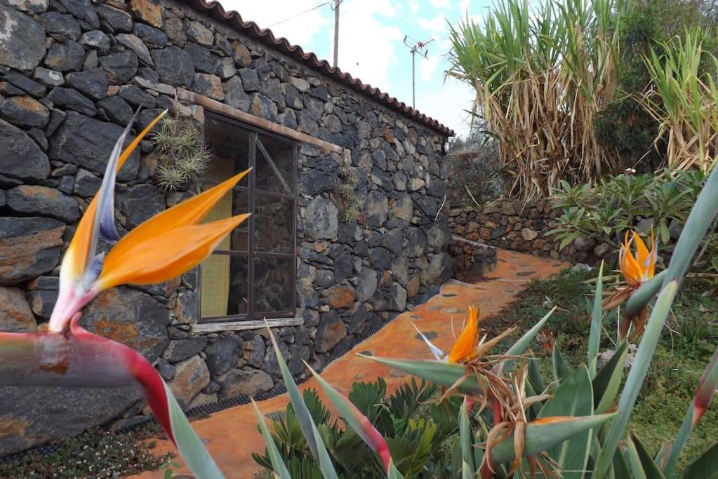 Casita En El Campo Con Vista Al Oceano Villa Тихарафе Екстериор снимка