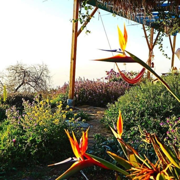 Casita En El Campo Con Vista Al Oceano Villa Тихарафе Екстериор снимка