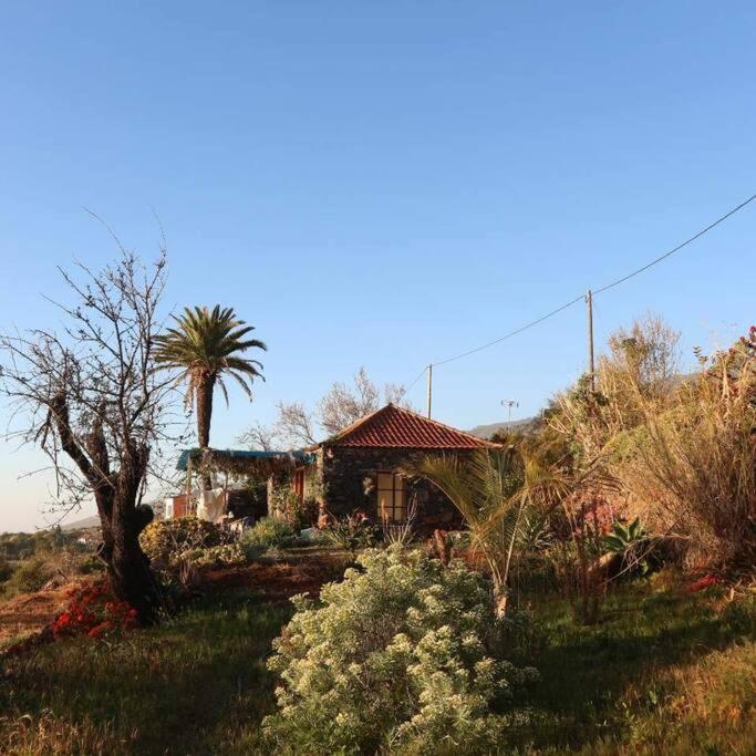 Casita En El Campo Con Vista Al Oceano Villa Тихарафе Екстериор снимка